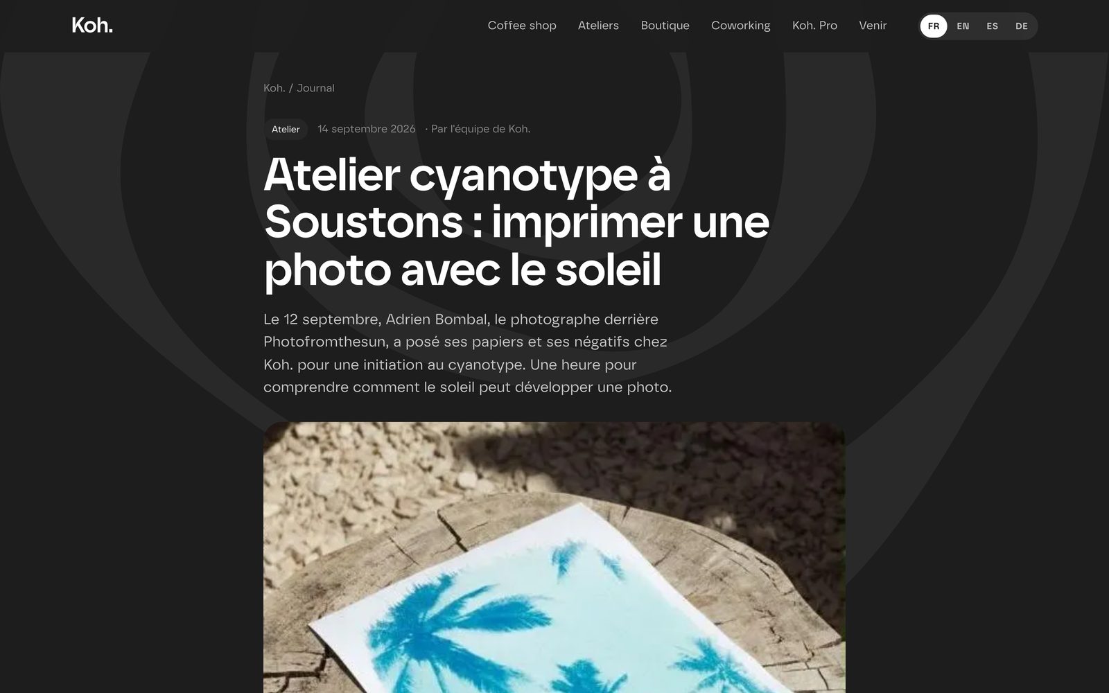 Un article publié sur le site de Koh. : Atelier cyanotype à Soustons, écrit à partir du récit de l'artiste